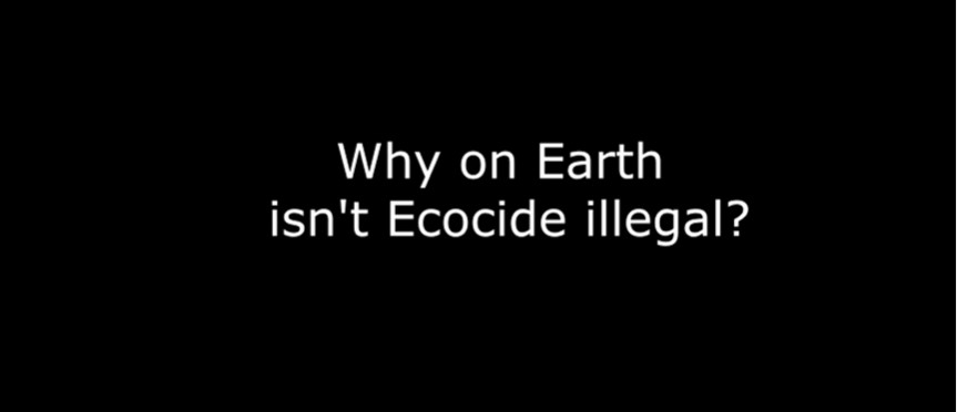 Why on Earth isn’t Ecocide&nbsp;illegal?