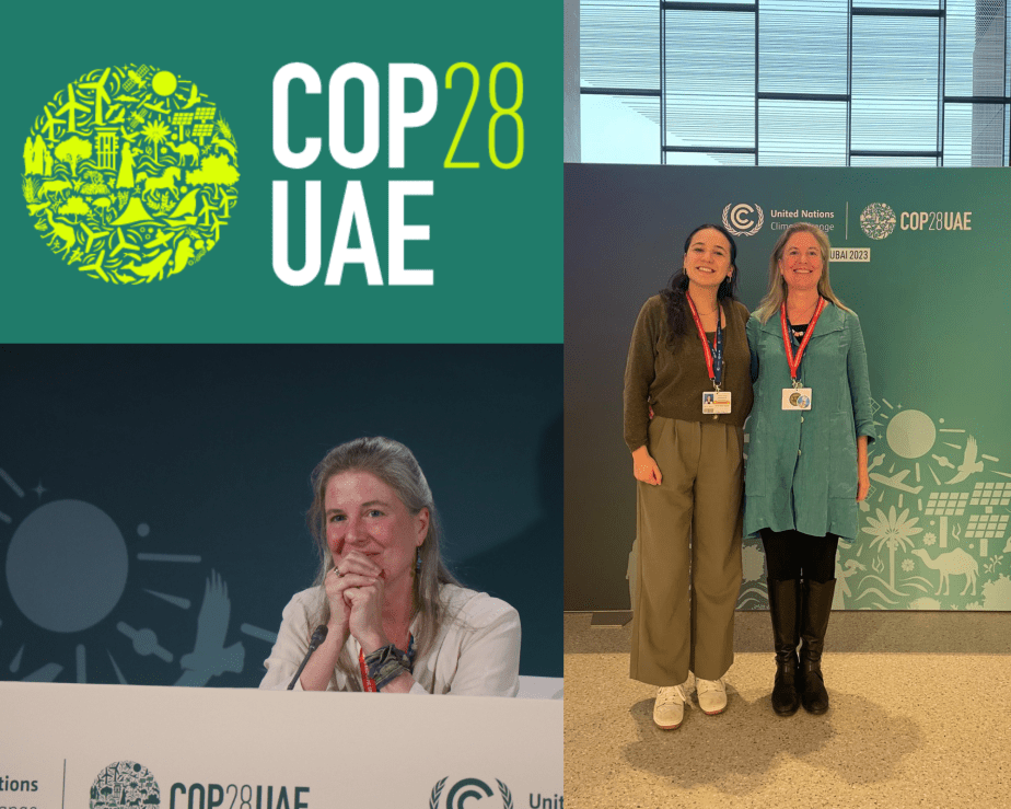 Quakers at COP28